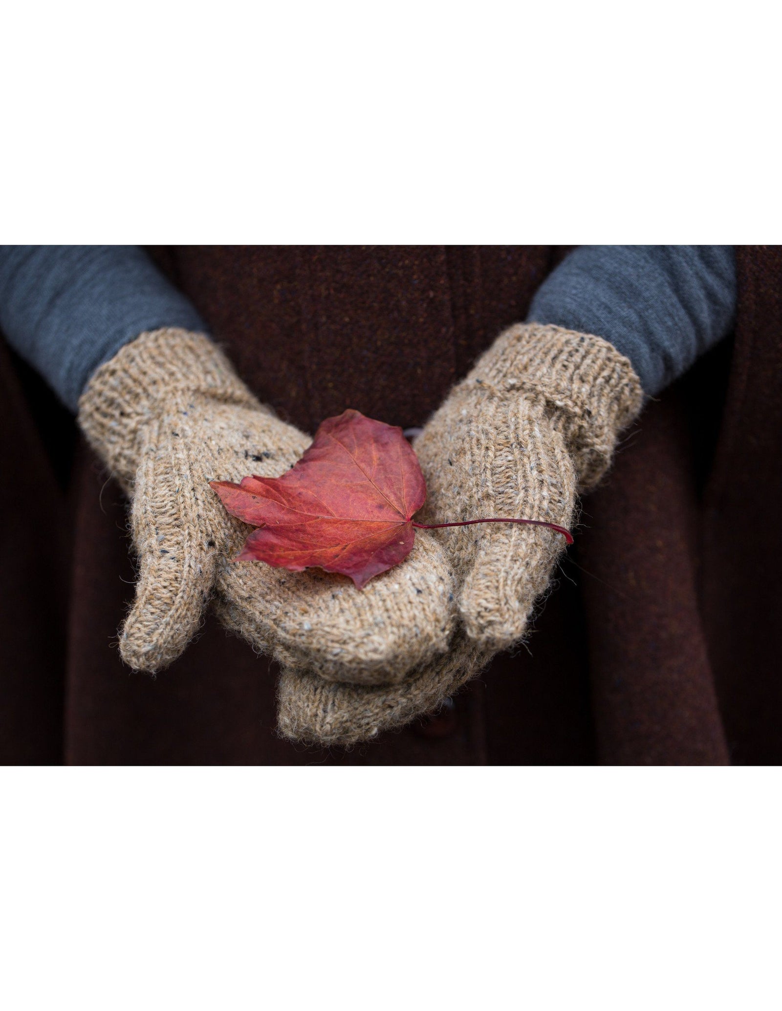 Aoibhinn Patterns Ysolda