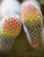 Cadeautje Patterns Ysolda 
