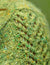 Ishnana Patterns Ysolda 