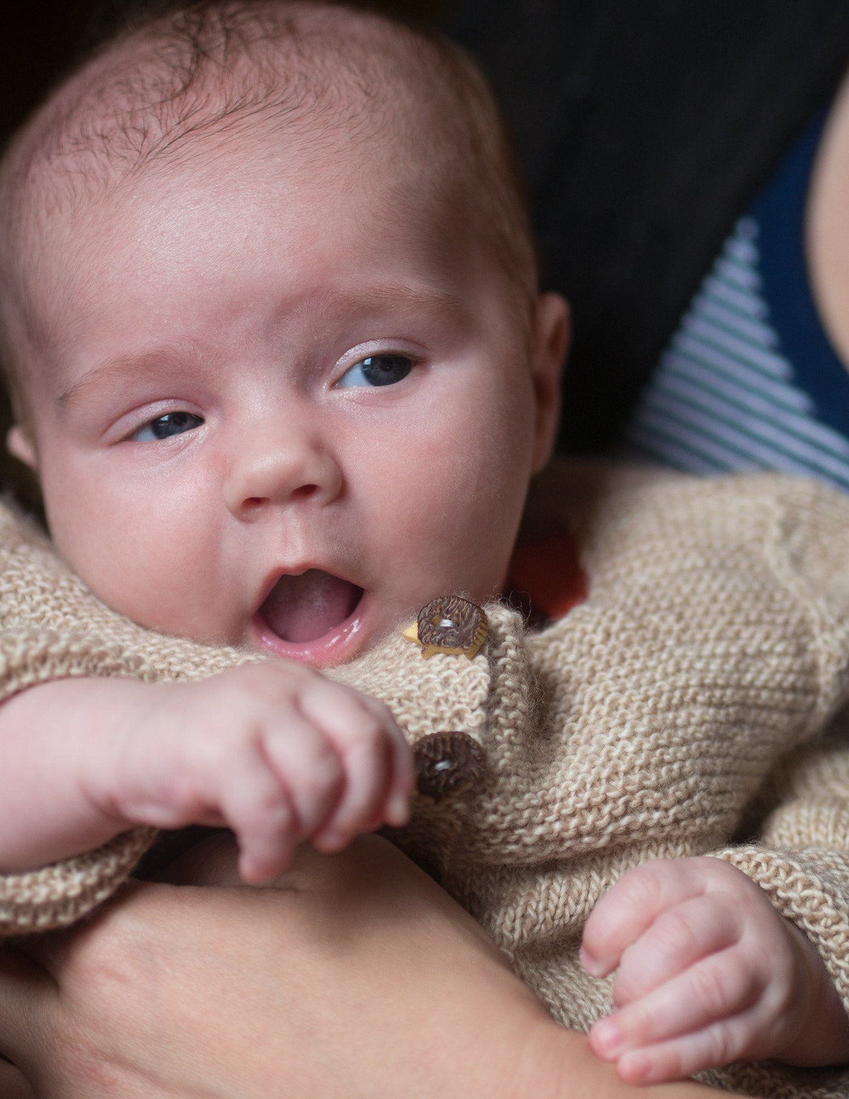 wee Cria Patterns Ysolda 